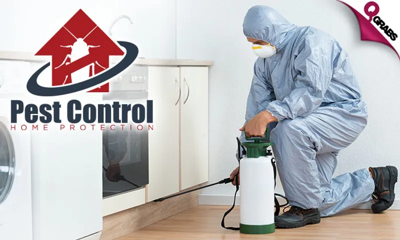 Pest Control: Cockroach & Bedbug Treatment Services!